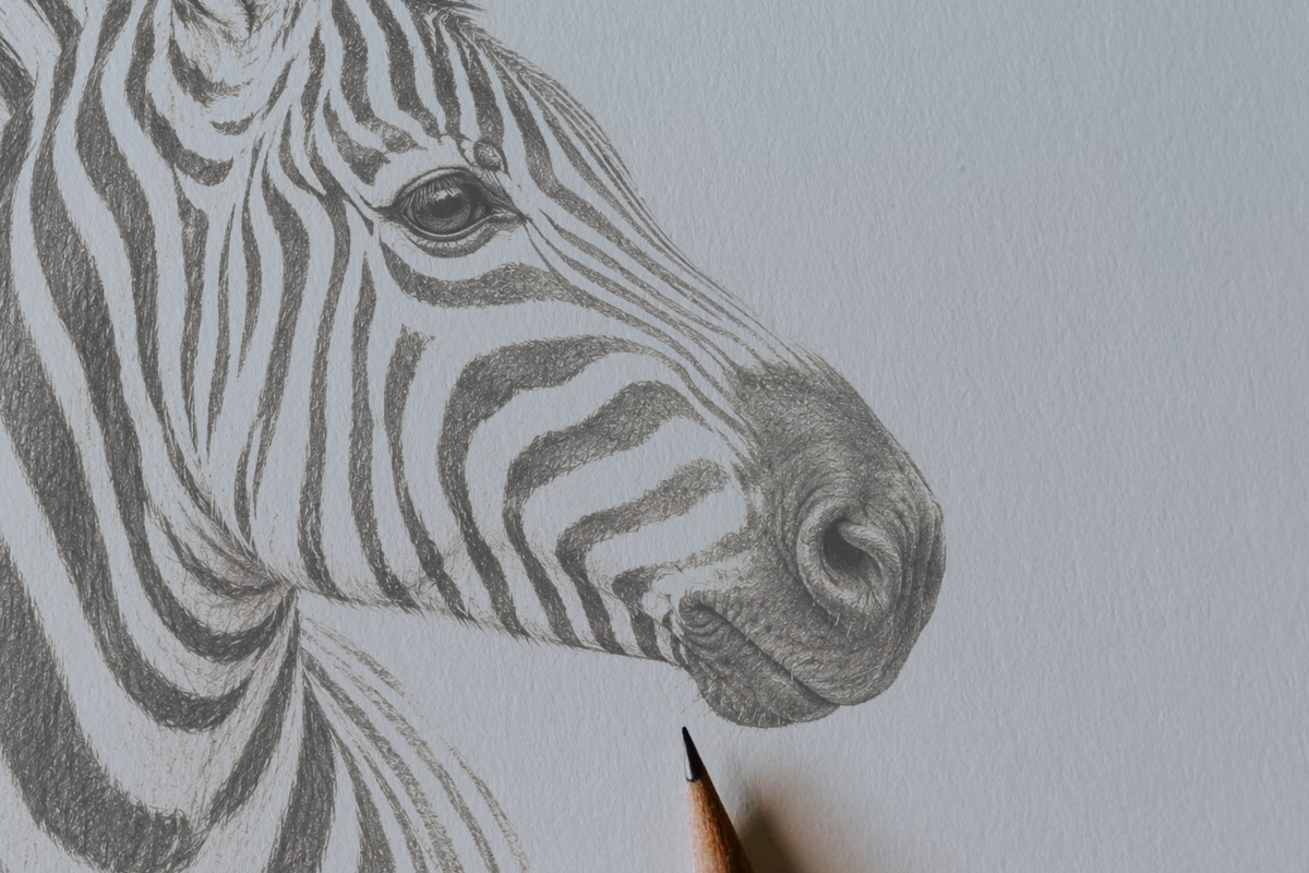 Sketching tools and colour