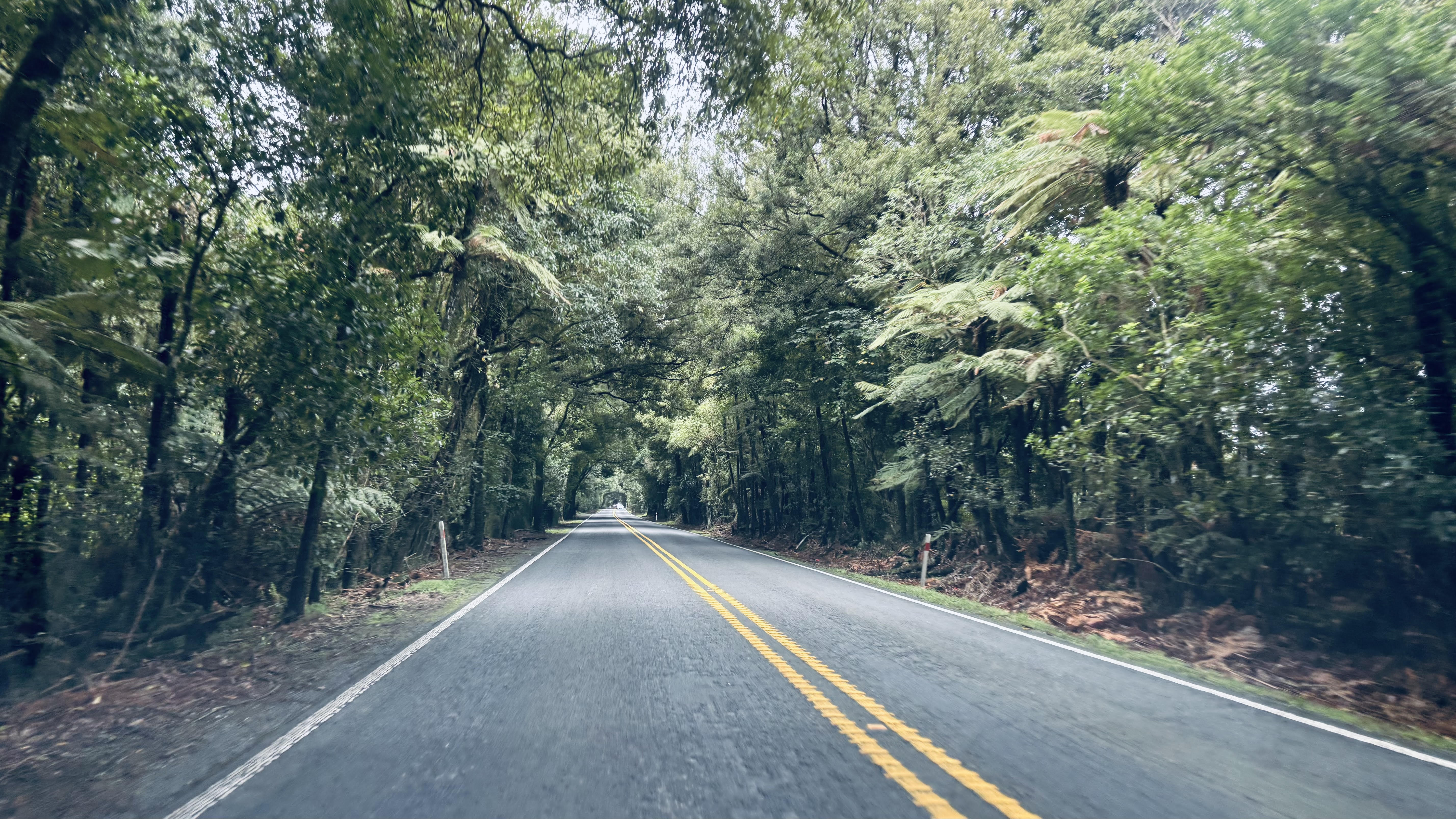 Scenic road through the countryside on a road trip